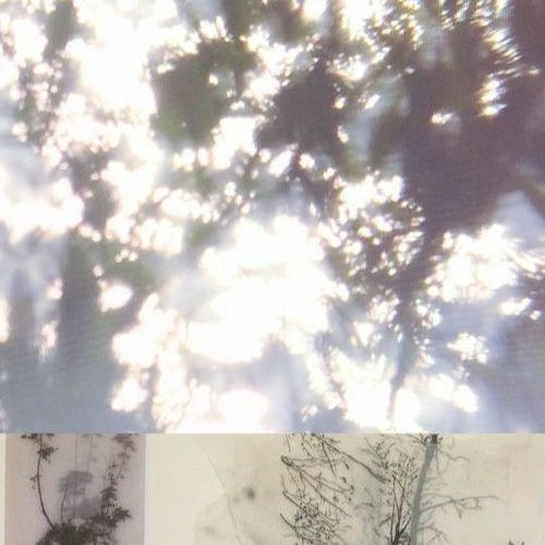 break my fall w/ ivu & oscar pisces