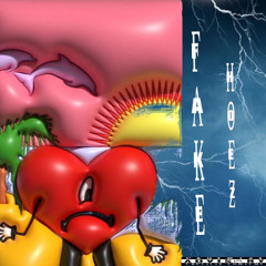 Faķë Høëš (Idknotsure x rogue prod. pierre)