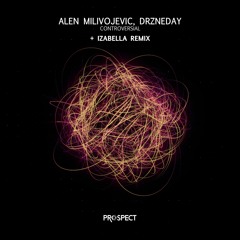 Controversial (Original Mix)