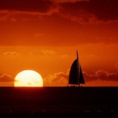 Brother Sun