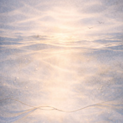 Roots of Light  (Коріння світла)