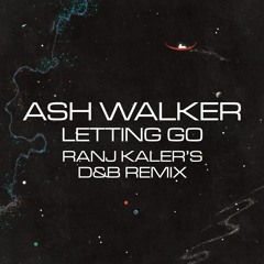 Ash Walker - Letting Go feat. Andrew Ashong (Ranj Kaler's D&B Remix)