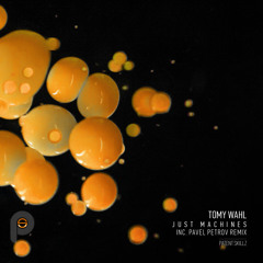 Tomy Wahl - Just Machines (Pavel Petrov Remix)