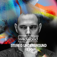 #230 -  Stereo Underground - (IL)