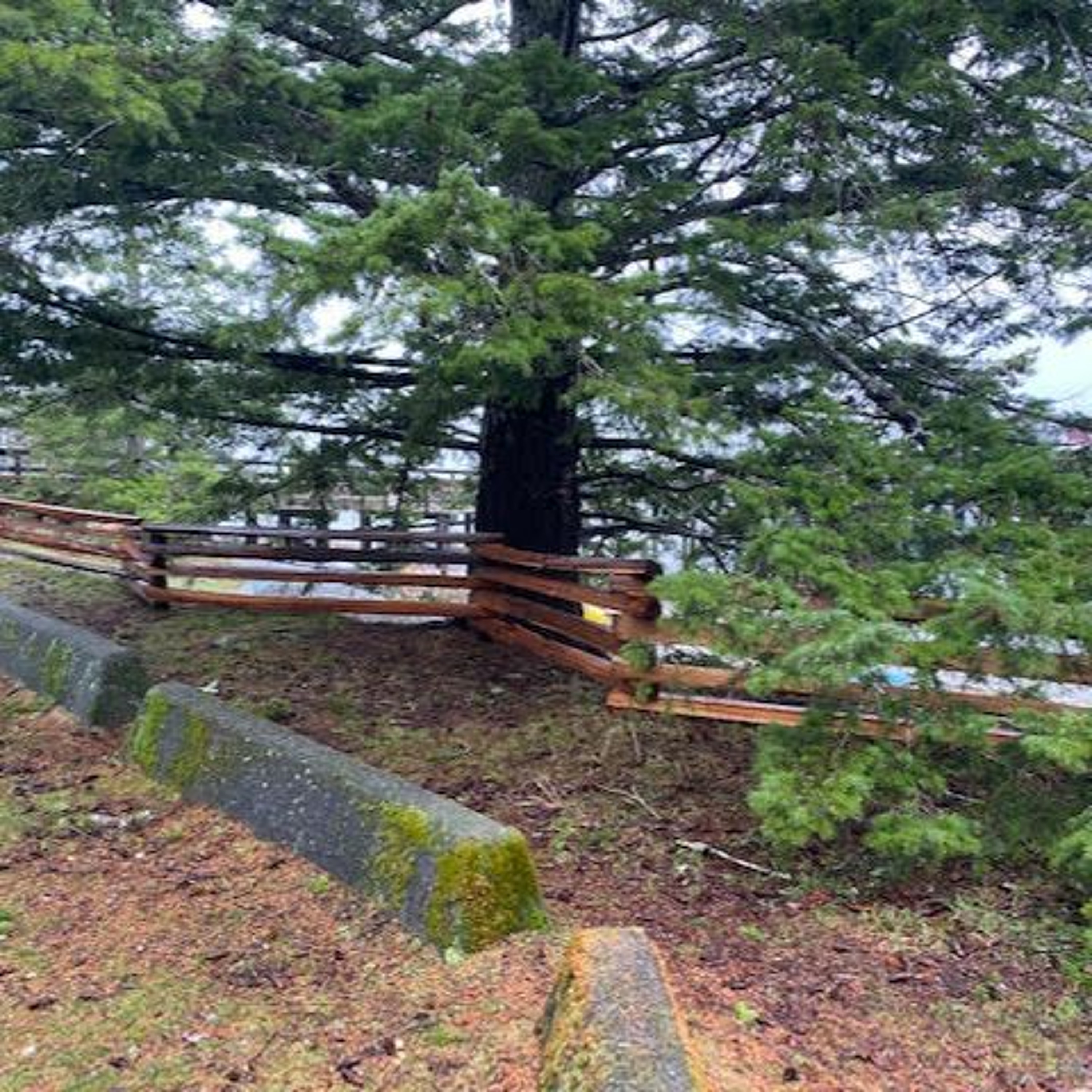 FOCI: Maintaining Mansons Landing Provincial Park