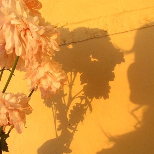 LATE SHIFT Sessions: 017 - Shadows
