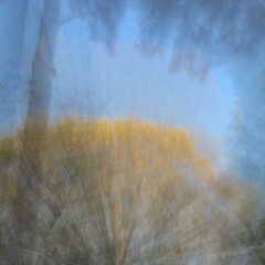 linger