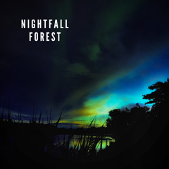 Nightfall Forest