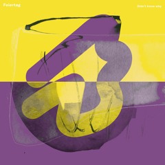 PREMIERE: Feiertag - Didn't Know Why (You Lost Your Soul) [Sonar Kollektiv]
