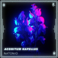 Aconitum Napellus - NATONIO