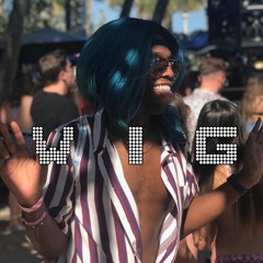 WIG