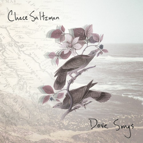 Chace Saltzman - In A Dream