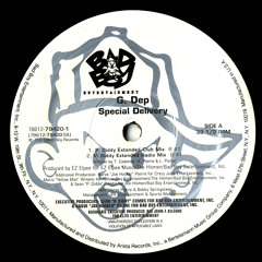 Special Delivery (P. Diddy Extended Radio Mix)