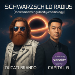 SCHWARZCHILD RADIUS:[lockwood/singularity/cosmology]