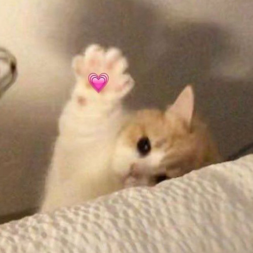 👍