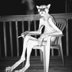 WU SERIES #3: Mind the Gap - 13/10/2025