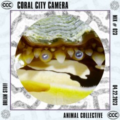 Dream Stuff by Animal Collective - Coral City Camera Mix #023