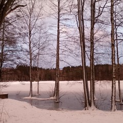Purple twilight