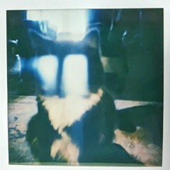 phase2. (Feat. Shagg)