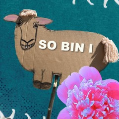 Lenze & De Buam - So bin i