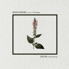 Monochrome presents, 𝖕𝖗𝖎𝖓𝖙𝖊𝖒𝖕𝖘 : Distab.