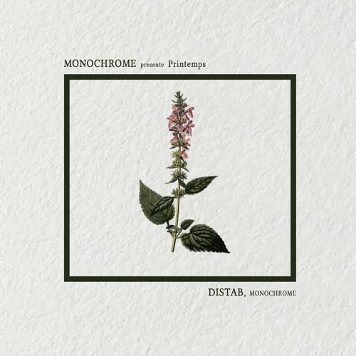 Monochrome presents, 𝖕𝖗𝖎𝖓𝖙𝖊𝖒𝖕𝖘 : Distab.
