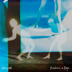 Waterfall (TOKiMONSTA Remix)