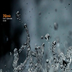 2Qimic - Last (Original Mix)
