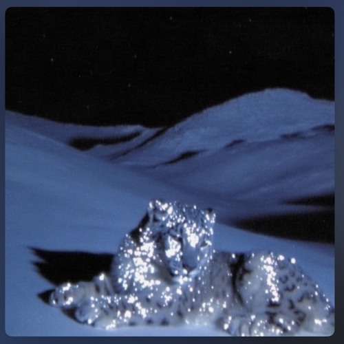 SOLITA (slowed)
