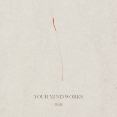 your Mind works - 068: classic Progressive House