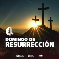 Domingo De Resurrección (Harold Guerra)