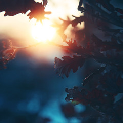 Atlantic Connection - Beatport Mix 2012