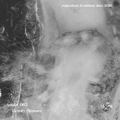 Amulet 063: Gravity Pleasure