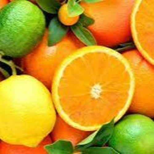 New EU cold treatment rules for RSA citrus could see R654m of the country’s citrus destroyed