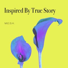 M.E.S.H. - Inspired By True Story - JBV REMIX