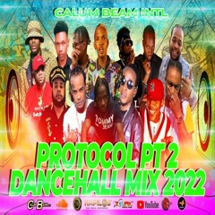 Dancehall Mix 2022 Protocol Dancehall Mix 2022 Raw,skeng,tommy,lee,jahshii,chronic law,squash