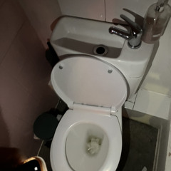 Does Anyone Ever Face A Car