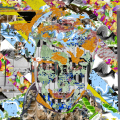 The Catfish and The Long Way Up