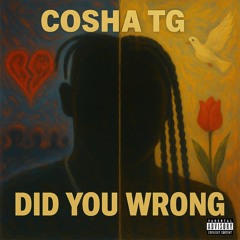 DID YOU WRONG