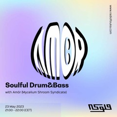 Soulful Drum&Bass Mix with Amör - 23/05/2023