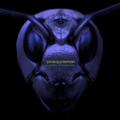 something nice for tea