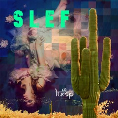 Slef - Desert Spaces (original mix)