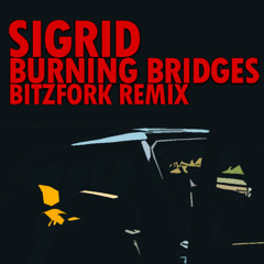 Sigrid - Burning Bridges (Bitzfork extended edit)