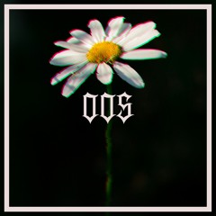 BLOSSOM #005 — Lozéon