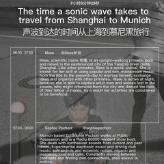 "THE TIME A SONIC WAVE TAKES TO TRAVEL FROM SHANGHAI TO MUNICH" RADIO80000xSHCRxDOCUMENTA
