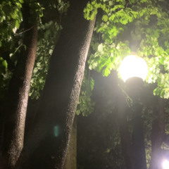 Savior Complex (cover)