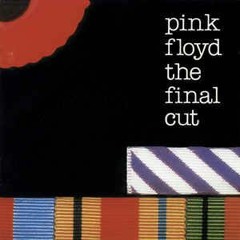 PINK FLOYD - FINAL CUT ( COVER VOCAL).