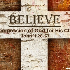 John 11v28 - 37 The Compassion Of God For His Children