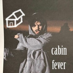 aries - cabin fever [flip] #ariescabinfever