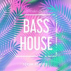 Bass House For Serum